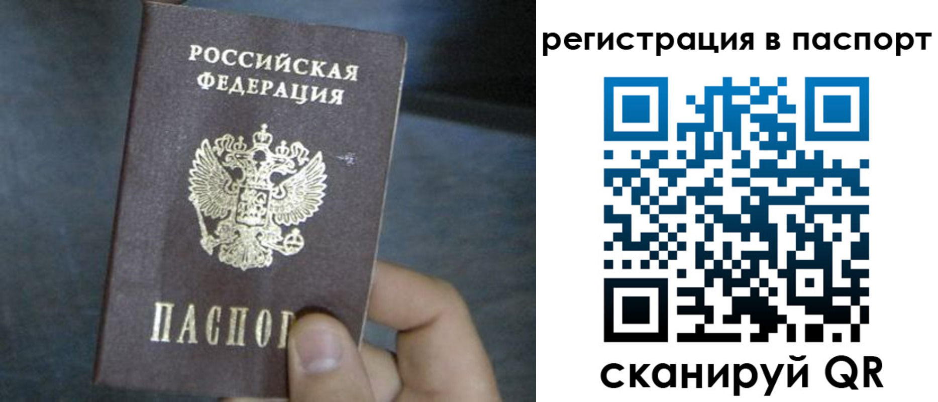 прописка 2025 в Осинниках